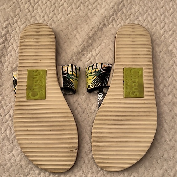 Circus Sam Eldelman Saxon Thong Teo Sandal Tropical Size 8M - Picture 5 of 6
